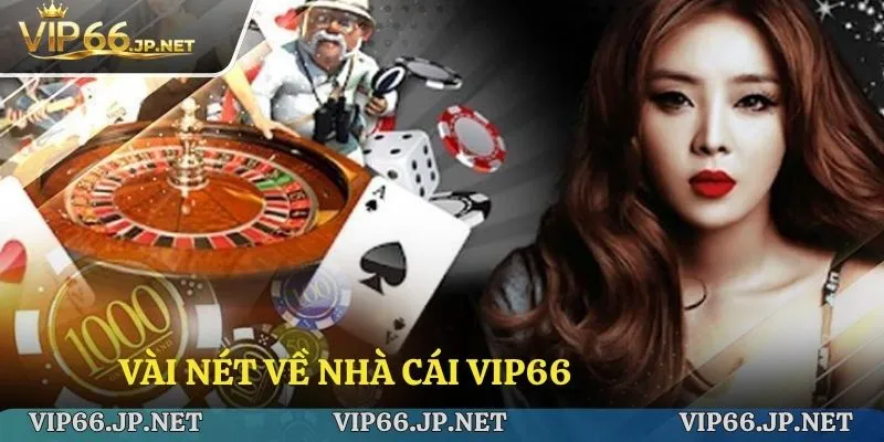 Vài nét về nhà cái VIP66