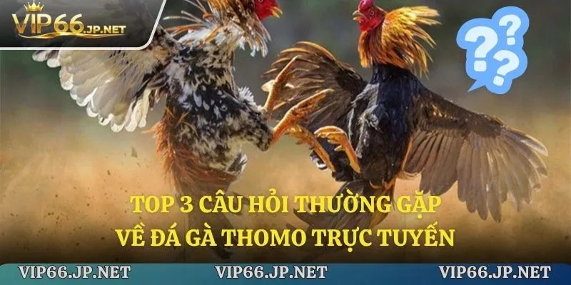 Câu hỏi thường xuyên được người mới đặt ra về hình thức này