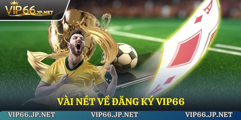 Giới thiệu vài nét về đăng ký VIP66