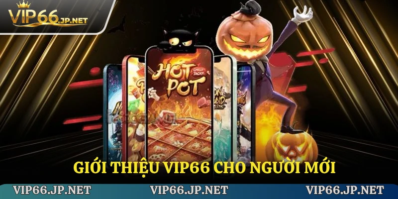 Giới thiệu VIP66 cho người mới