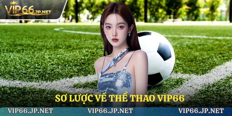 Sơ lược về chuyên mục thể thao